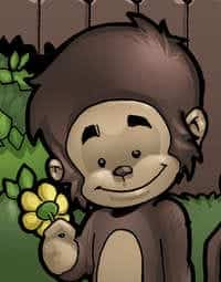 Monkey