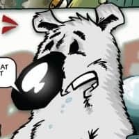 Polar Bear
